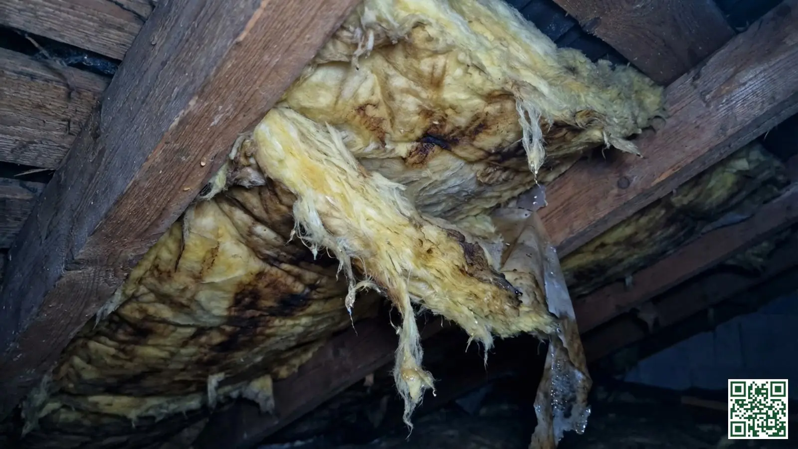 Beschadigde minerale wol dakisolatie met zichtbare vochtschade en verkleuring door waterinfiltratie