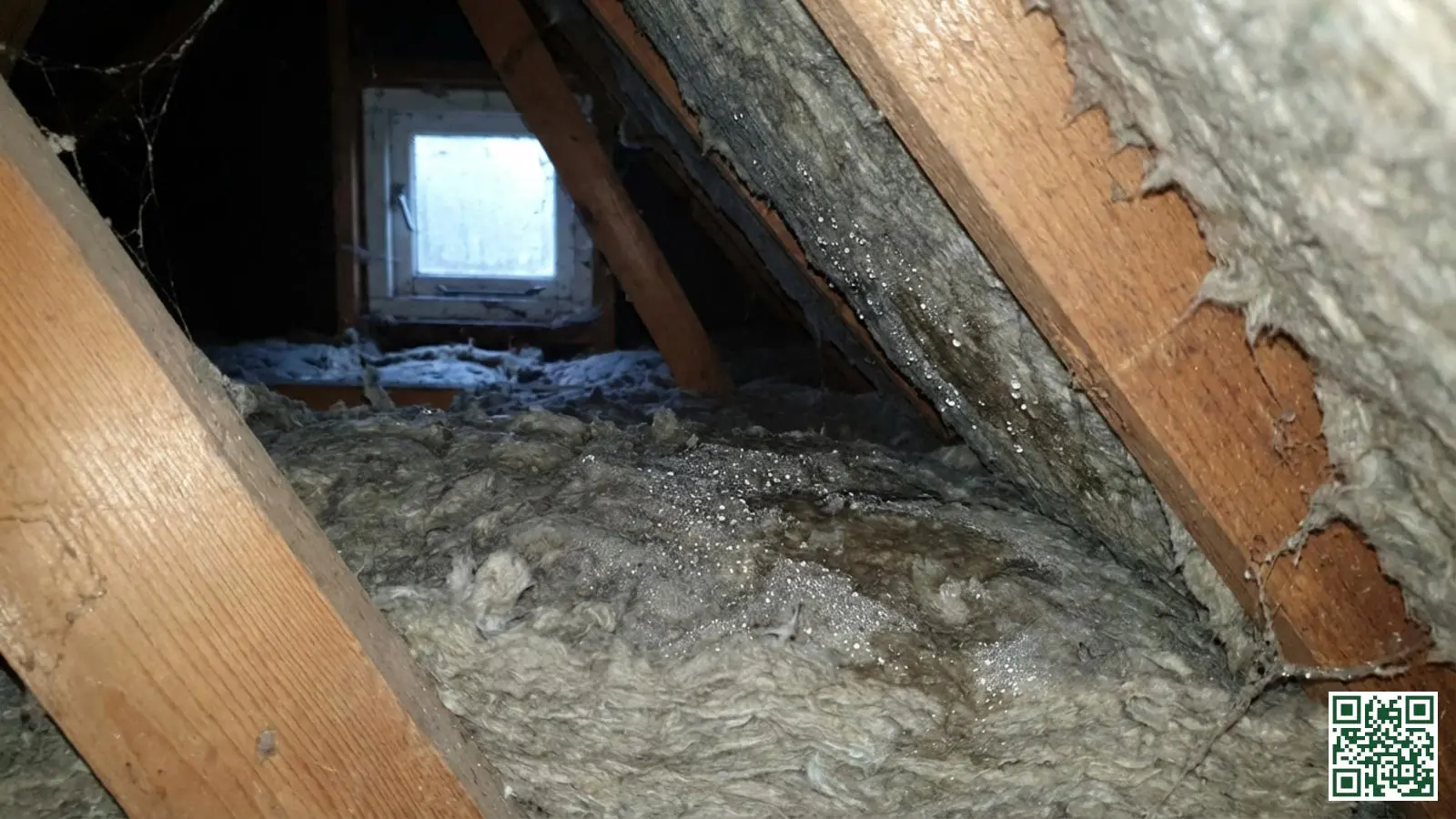 Condensdruppels en vocht op de onderzijde van dakisolatie in een Nederlandse zolderruimte