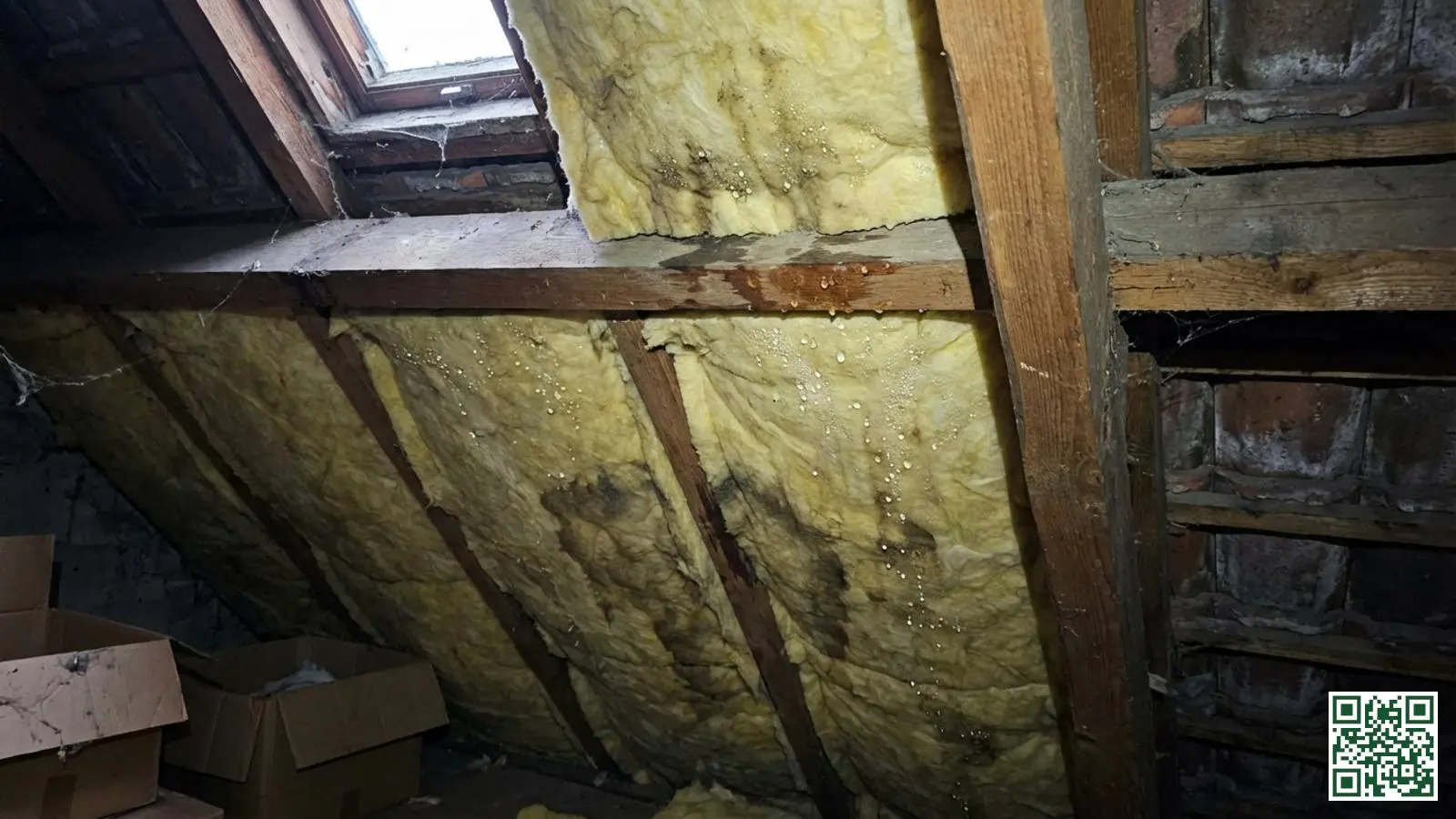 Zichtbare vochtdruppels en condensatie op de onderzijde van dakisolatie in een Nederlandse zolderruimte