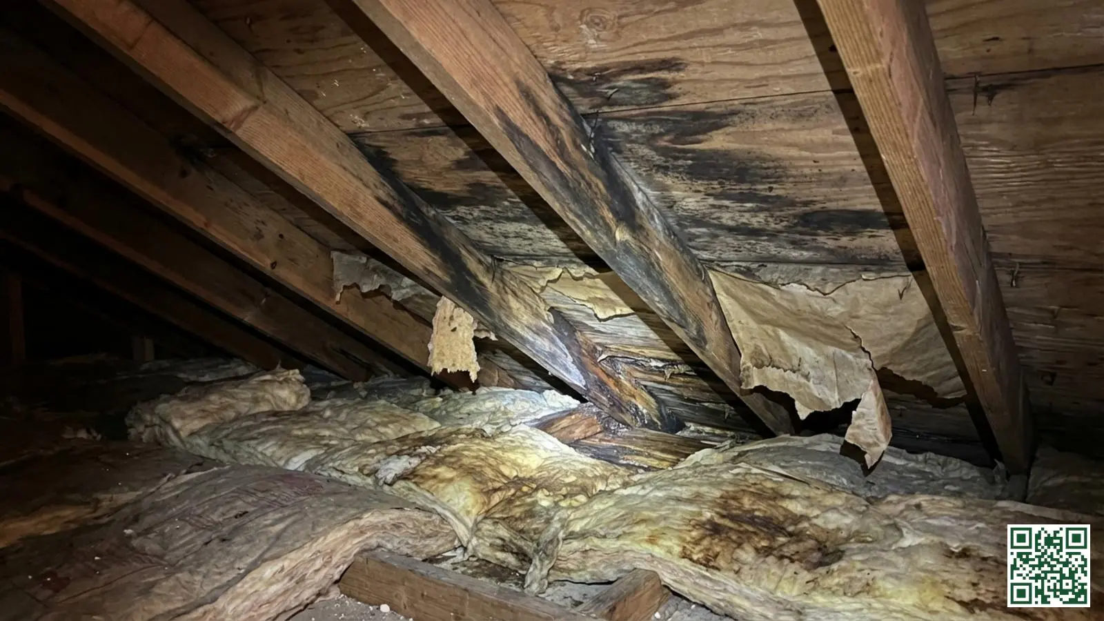 Vochtschade aan houten dakspanten met donkere vlekken en aangetaste isolatie door ontbrekend dampscherm